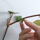 10x Invisible Plants Climbing Wall Sticky Hooks/Vines Clips Fixing Fixture G4T9