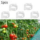 Plant Vine Fixing Clamp Hanging ling Clamp Gardening Plant Frame D8R1 L1E4