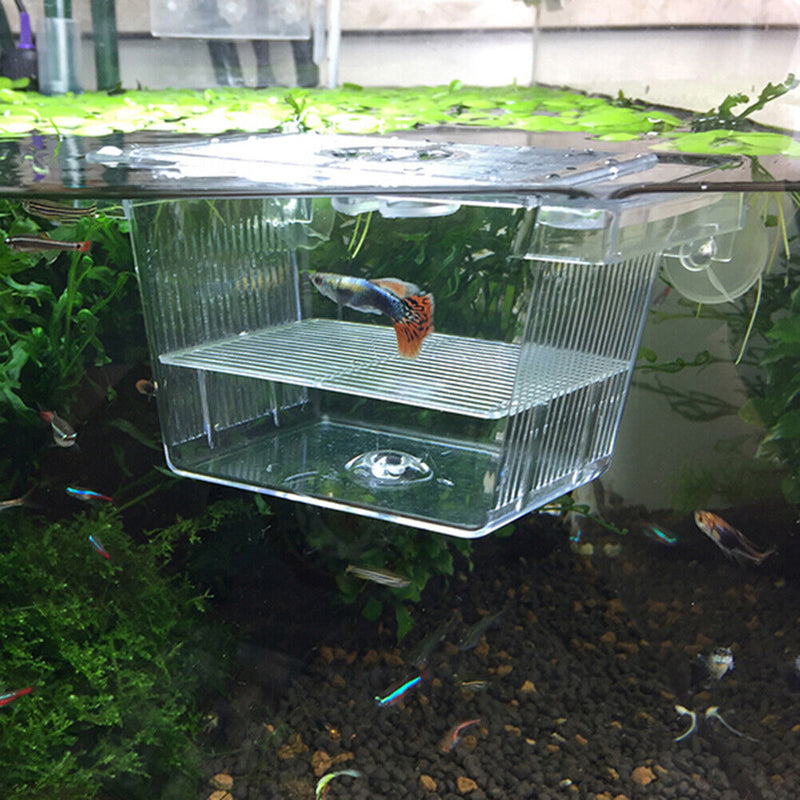 Transparent Acrylic Aquarium Incubator Fish Tank Insulation Box Hatchery Holder