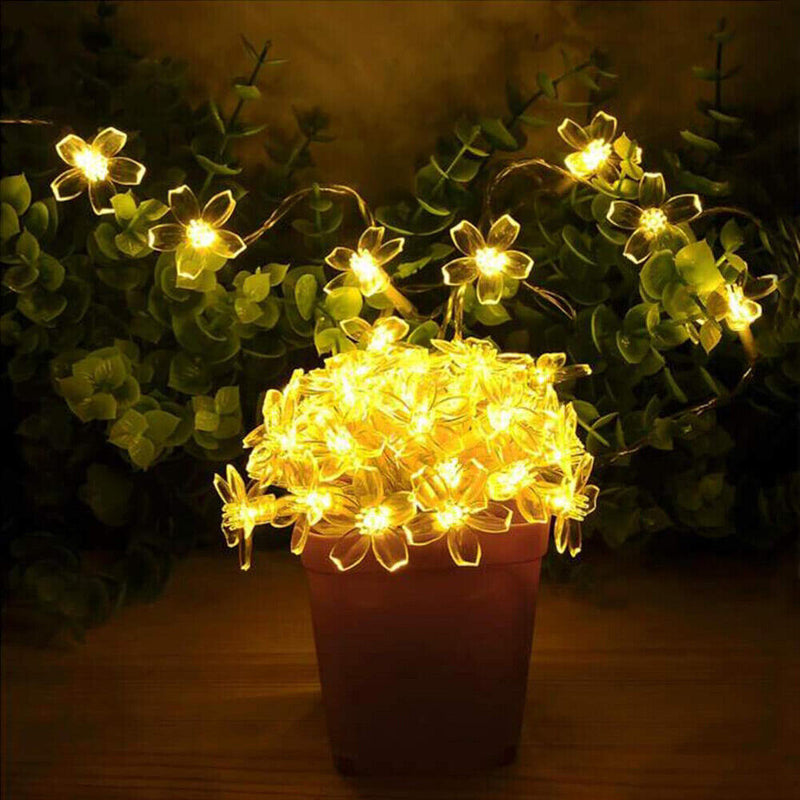 10 LED Cherry Blossom Fairy Light String for Wedding Decor (Warm Light 2m)