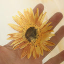 Sunflower Print Window Door Curtain Tulle Curtains for Living Room (Yellow)