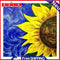 Canvas Painted Oil Paint By Numbers Sunflower DIY Wall Art Modern Bedroom Decor