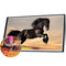 Running Horse Diamond Painting Rhinestone Full Round Drill for Decoration (Y630)