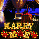 22cm MERRY ME LED light proposal LED decorative light