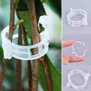 Plant Vine Fixing Clamp Hanging ling Clamp Gardening Plant Frame D8R1 L1E4