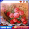 Peony in Basket Oil Paint By Numbers Kit DIY Acrylic Painting on Canvas Art