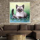 5D DIY Round Drill Diamond Painting Cat Cross Stitch Embroidery Mosaic Kit Newly