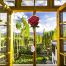 Crystal Diamond Angel Tears Catching Light Hanging Wind Chimes Decor (C) Newly
