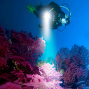 T6 LED Scuba Diving Flashlight Waterproof 400lm Camping Underwater Torch Li