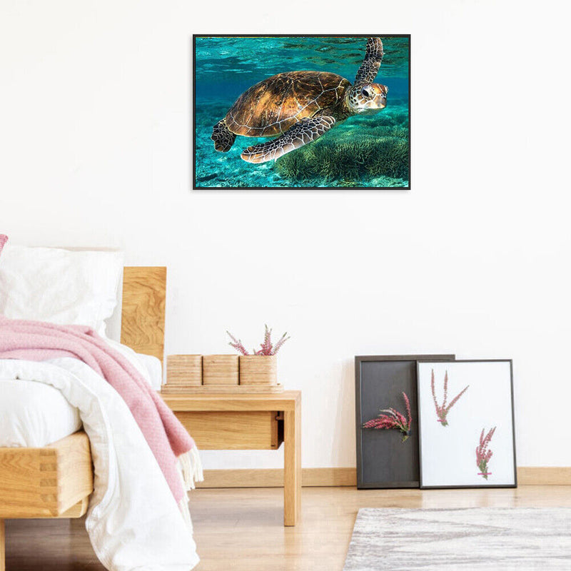 DIY Hand Painted Paint By Numbers Oil Canvas Pictures Sea Turtle Kit Room D