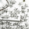 Decoration Rock Punk Studs Spikes Leather Craft Star Rivets Spots Nailhead