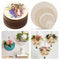 Wooden Tags DIY Writing Ornament Round Wood Pieces Blank Plaque Wood Circles