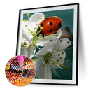 5D Diamond Painting Flower Full Round Drill Rhinestone DIY Wall Art (E1261)