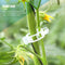 Tomato J Hook & Trellis Clips Set Plant Support Garden Tools Makes Plants Health