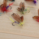 12pcs/Lot Set Various Dry Flies Trout Salmon Floating Insects T