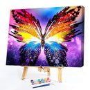Oil Paint by Numbers Color Kit Butterfly DIY Picture Drawing Wall Craft Gifts