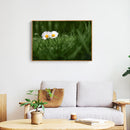 Painting By Numbers Oil Picture Artwork DIY Hand Painted Canvas Meadow Daisy Kit