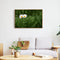 Painting By Numbers Oil Picture Artwork DIY Hand Painted Canvas Meadow Daisy Kit