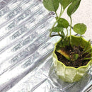 Garden Wall Mylar Film Covering Sheet Hydroponic Reflective B8Y6 L6C0 V2Q5 H8I8
