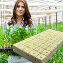 #A 50x Hydroponic Grow Agricultural Cubes Blocks Planting Soilless Cultivation