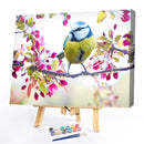 30x40cm No Frame Digital Coding Painting Hand Painted Canvas Oil Art Picture