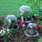 #A 6pcs Greenhouse Garden Plant Bell Cover Frost Guard Anti Freeze Protection Do