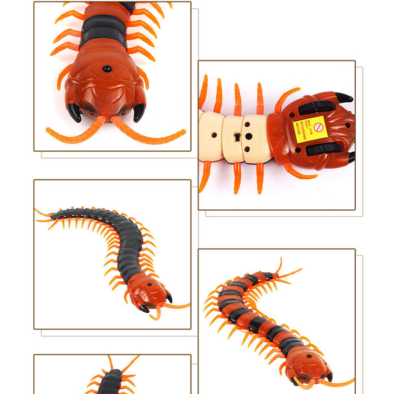 Remote Control Centipede Cat Interactive Toys with Egg Toys (Intermediate)