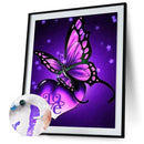 Butterfly 40x50cm Oil Paint By Numbers Picture DIY Painting