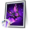 Butterfly 40x50cm Oil Paint By Numbers Picture DIY Painting