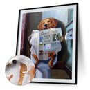 #A Dog on Toilet Oil Paint By Numbers Kit DIY Acrylic Painting Wall Picture Craf