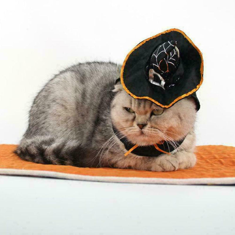 Halloween Cat Wizard Hat Products That Transform Into Hat Scarf Wizard O1V0 N0C5