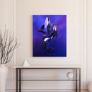 Killer Whale Oil Paint By Numbers Kit DIY Acrylic Painting on Canvas (B1477)