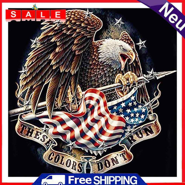 DIY Eagle and Flag Oil Paint by Numbers Kit Drawing on Canvas Picture Home Decor