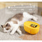 Water 2L Pet Water Dispenser Drinking Bowl Water Fountain Drinking Cat/Dog