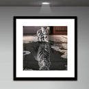 Cat Tiger 5D Diamond Painting Embroidery DIY Cross Stitch Craft Home Decor Newly