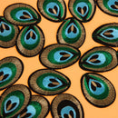 20pcs Peacock Eye Embroidered Cloth Iron On Patch Sew Motif Applique Newly