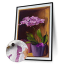 Corner Butterfly Orchid Oil Paint By Numbers DIY Frameless Drawing Picture Cr