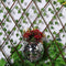 Decorative Plant Pots/Garden Plants with Hooks Chain for Gardening Enthusiast