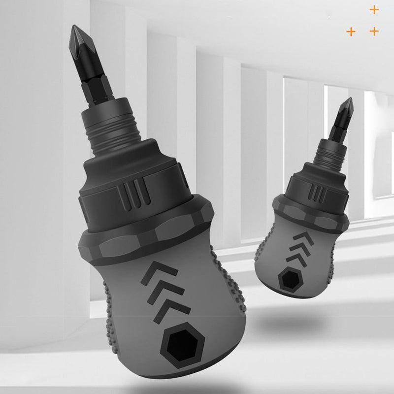Ratcheting Double-Head Screwdriver Phillips Slotted 2 in 1 Mini Accessory