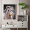 Fine Horse Oil Paint By Number DIY Acrylic Painting Home Decoration Wall Arts