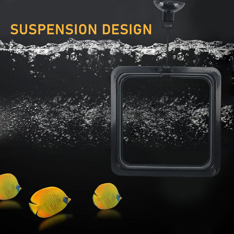 Fish Feeding Aquarium Ring Feeder Float Food Plant Buoyancy Circle (Square)