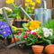 Hollow Hand Hoe - Sharp Gardening Gift for Backyard Weeding Loosing Planting