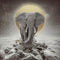 5D DIY Diamond Painting Kits Full Round Drill Moonlight Elephant Mosaic Gift (2)