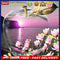Full Drill Square Diamond DIY 5D Mosaic Flower Fruit Painting Kit Room Decor
