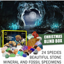 Fossil Stone Set Early Education Christmas Advent Calendar Gift Mineral Boxs