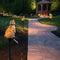 Solar LED Rabbit Courtyard Yard Landscape Light Waterproof Lawn Decorative Lamp