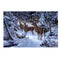 Snow Deers Elk 5D Diamond DIY Painting Craft Kit Home Decor