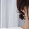 Earrings Rhinestone Earrings Earrings Dangle Earrings Earring Women's Earrings