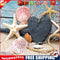 Diamond Painting Kits Seashore Shells Full Round Drill Picture Handicrafts