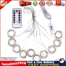 Xmas LED Fairy Remote Control Curtain String Light (Normal)(Warm Light) Newly